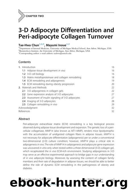 3-D Adipocyte Differentiation and Peri-adipocyte Collagen Turnover by Tae-Hwa Chun & Mayumi Inoue