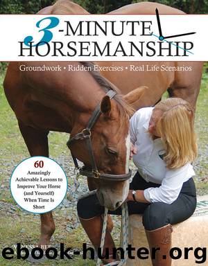 3-Minute Horsemanship by Vanessa Bee