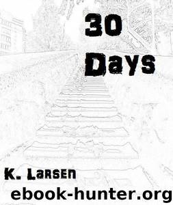 30 Days by Larsen K