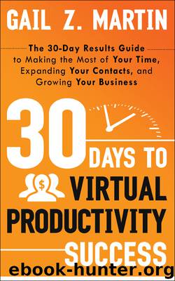 30 Days to Virtual Productivity Success by Gail Z. Martin