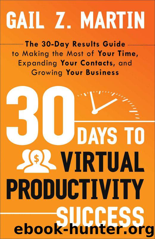 30 Days to Virtual Productivity Success: The 30-Day Results Guide to Making the Most of Your Time, Expanding Your Contacts, and Growing Your Business by Gail Z. Martin