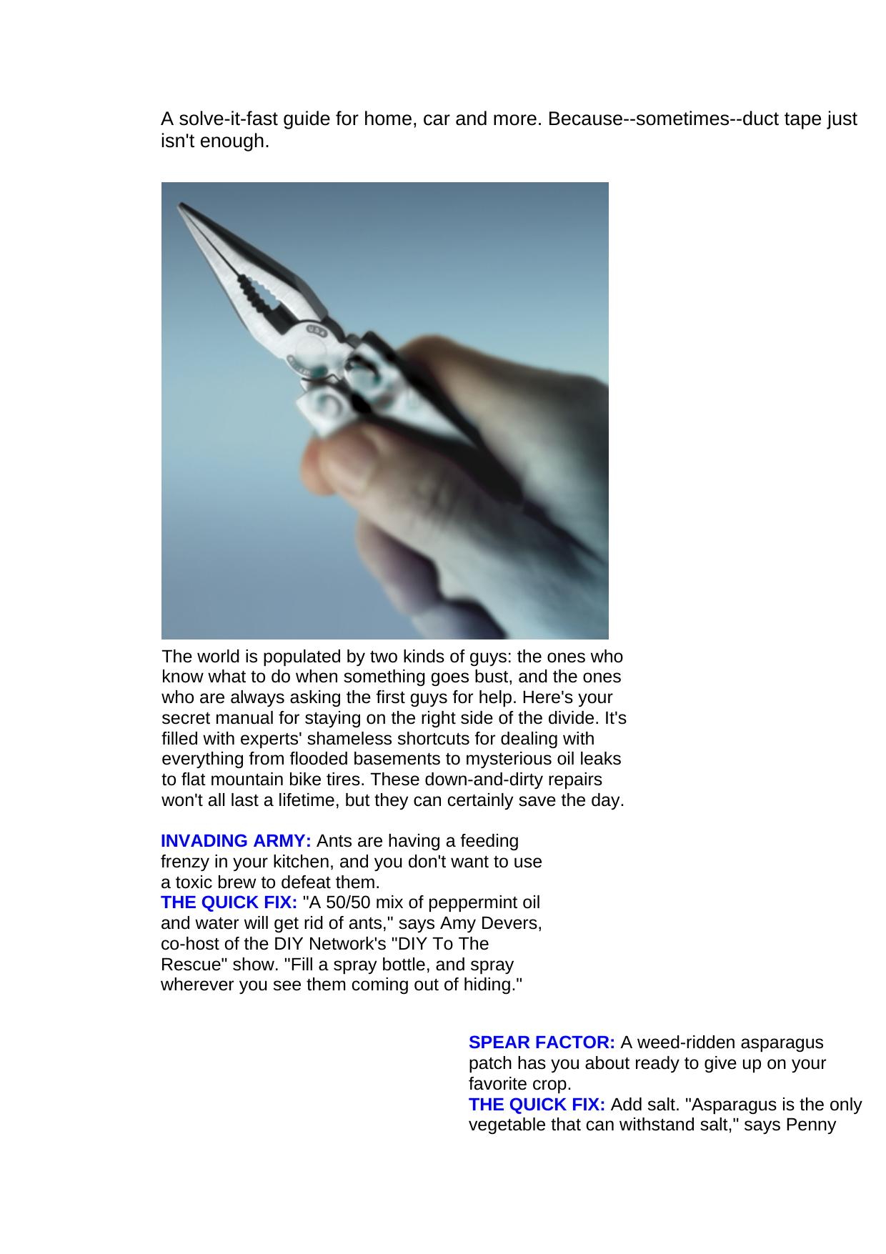 30 Quick Fixes For Everyday Disasters by Home