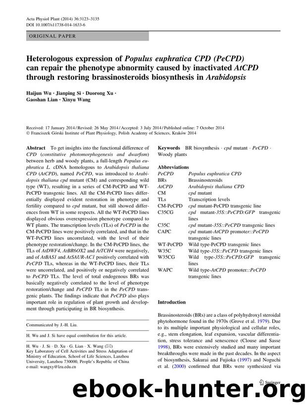 3123-3135 by Unknown