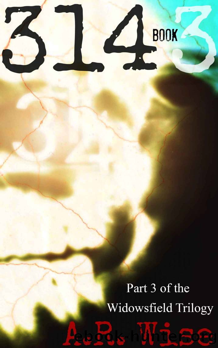 314 Book 3 (Widowsfield Trilogy) by Wise A.R