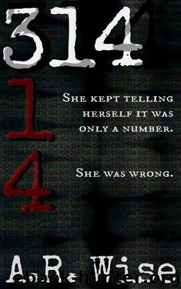 314 by A.R. Wise