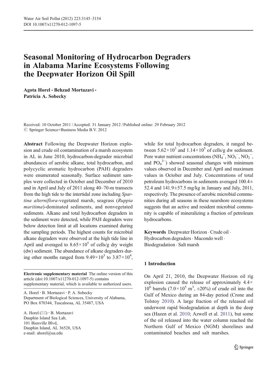 3145-3154 by Unknown