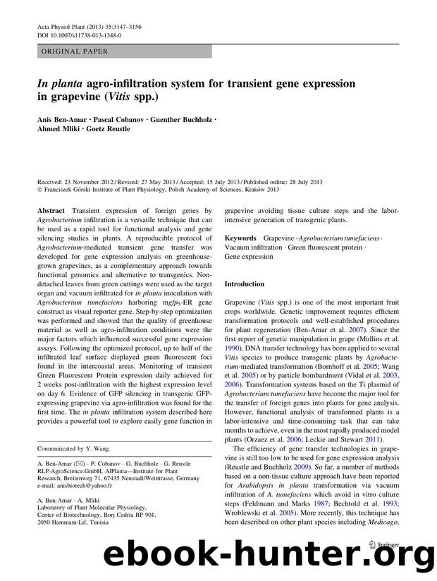 3147-3156 by Unknown