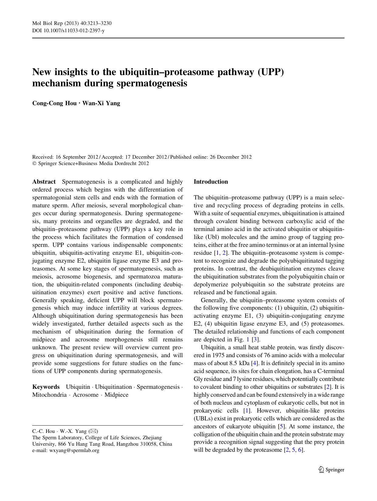 3213-3230 by Unknown