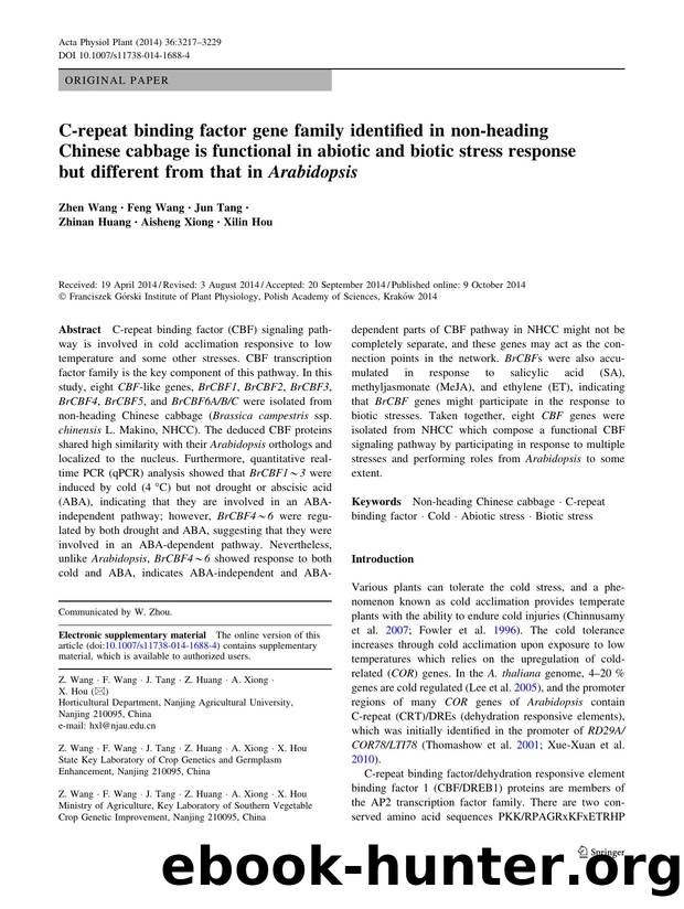 3217-3229 by Unknown