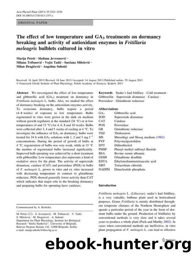 3223-3236 by Unknown