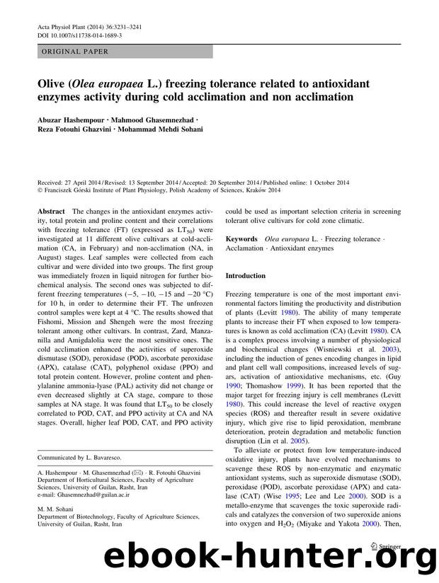 3231-3241 by Unknown