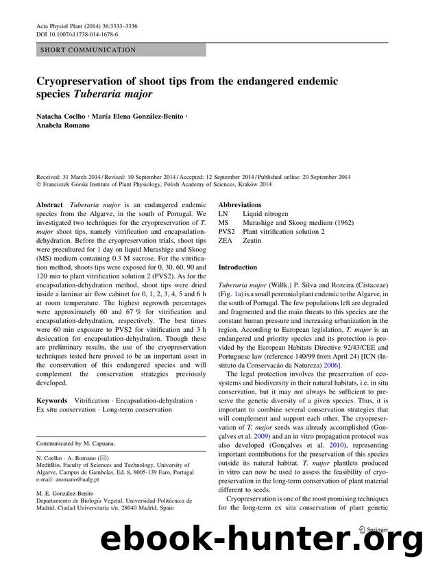 3333-3336 by Unknown