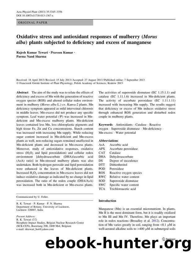 3345-3356 by Unknown