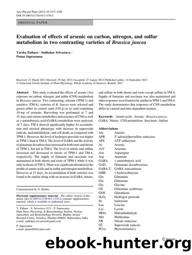 3377-3389 by Unknown