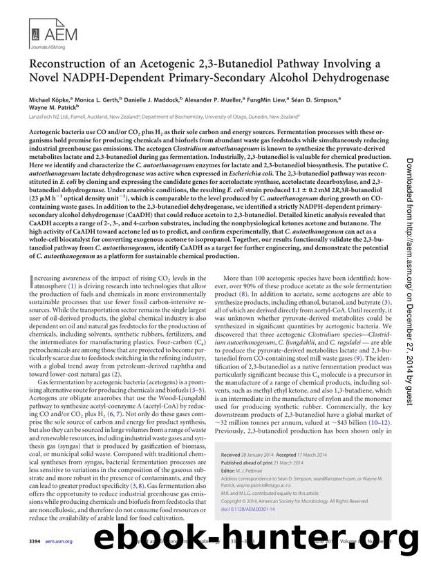 3394-3403 by Unknown