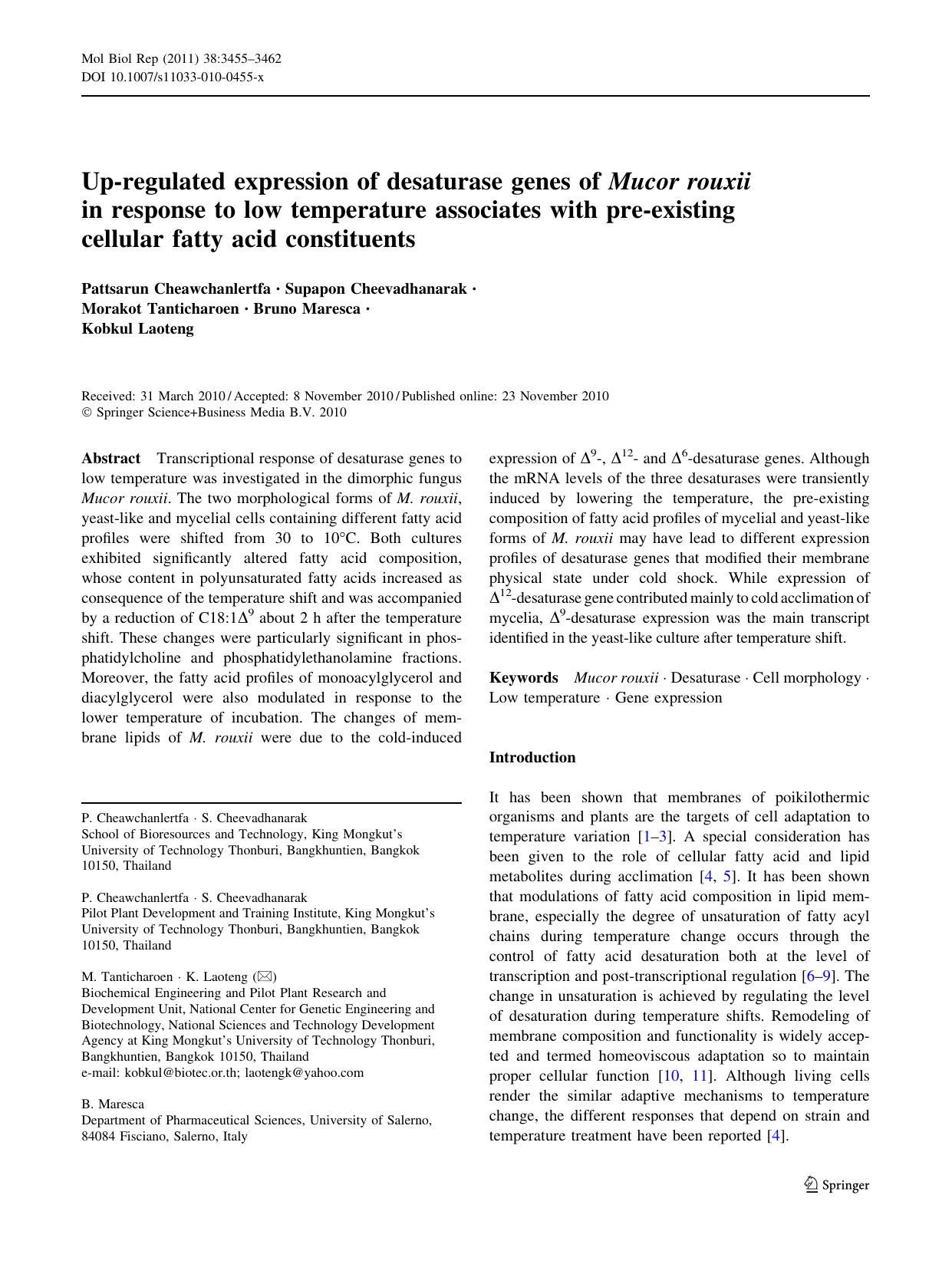 3455-3462 by Unknown