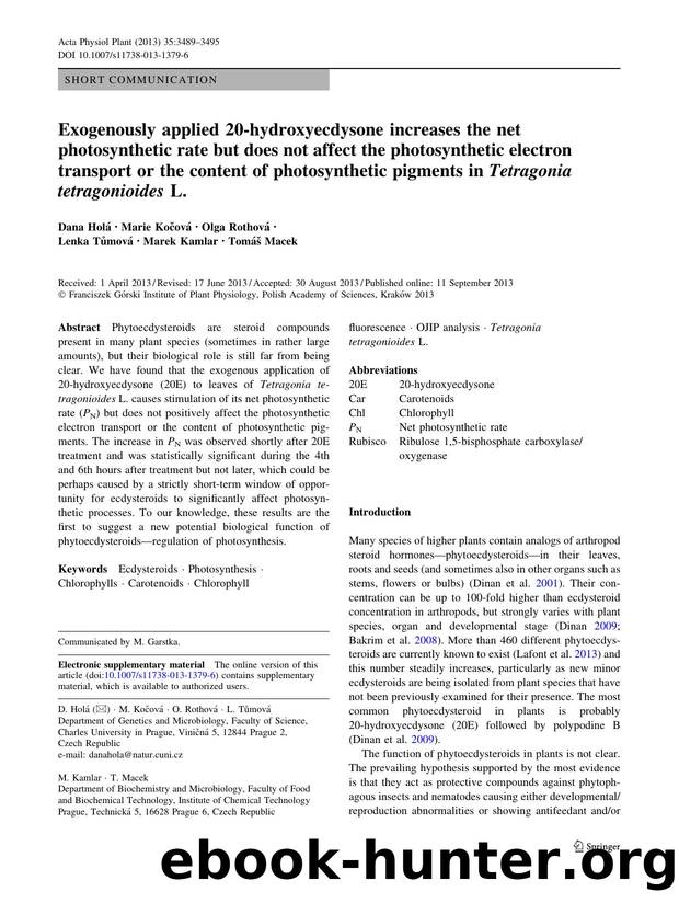 3489-3495 by Unknown