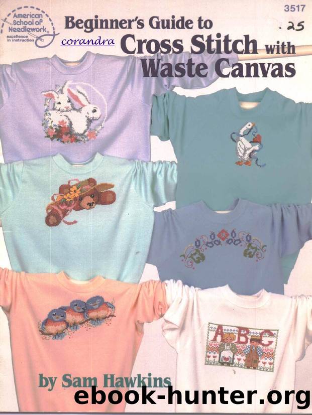 3517 Beginners Guide Cross Stitch w Waste Canvas by Unknown