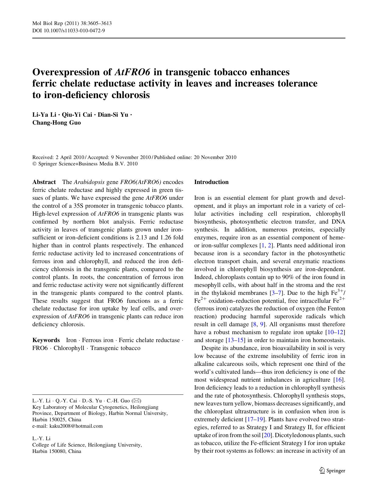 3605-3613 by Unknown