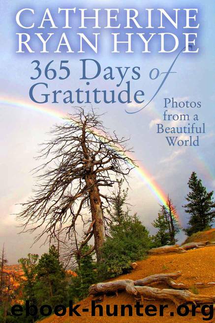 365 Days of Gratitude: Photos from a Beautiful World by Hyde Catherine Ryan