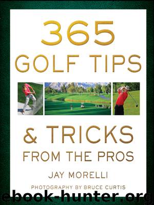365 Golf Tips & Tricks From the Pros by Jay Morelli