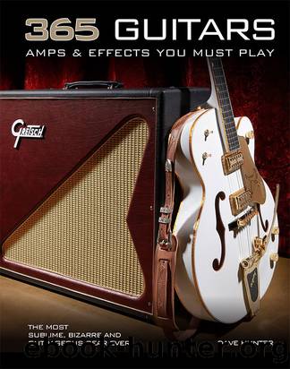 365 Guitars and Amplifiers by Dave Hunter