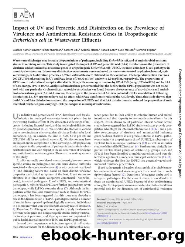 3656-3666 by Unknown