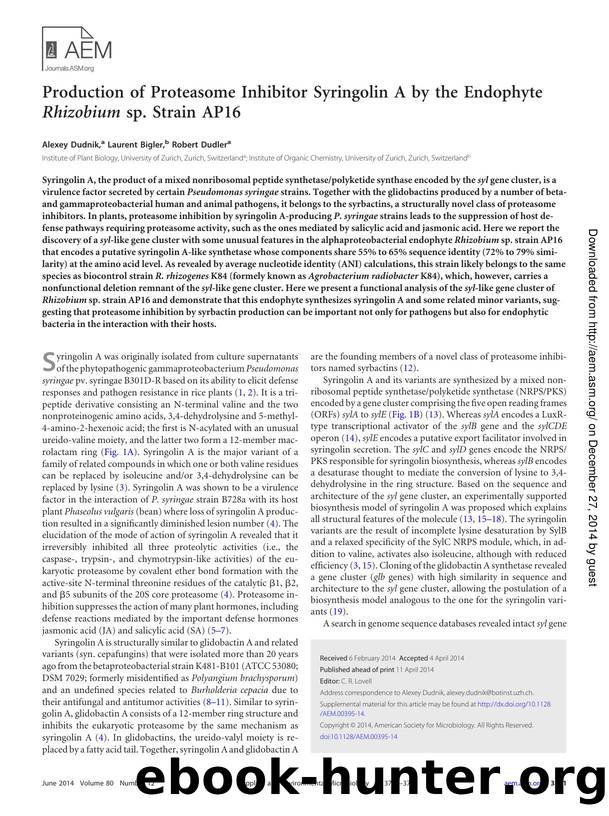 3741-3748 by Unknown