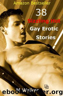 38 Sizzling Hot Gay Erotic Stories: Boxed Set by Walker M