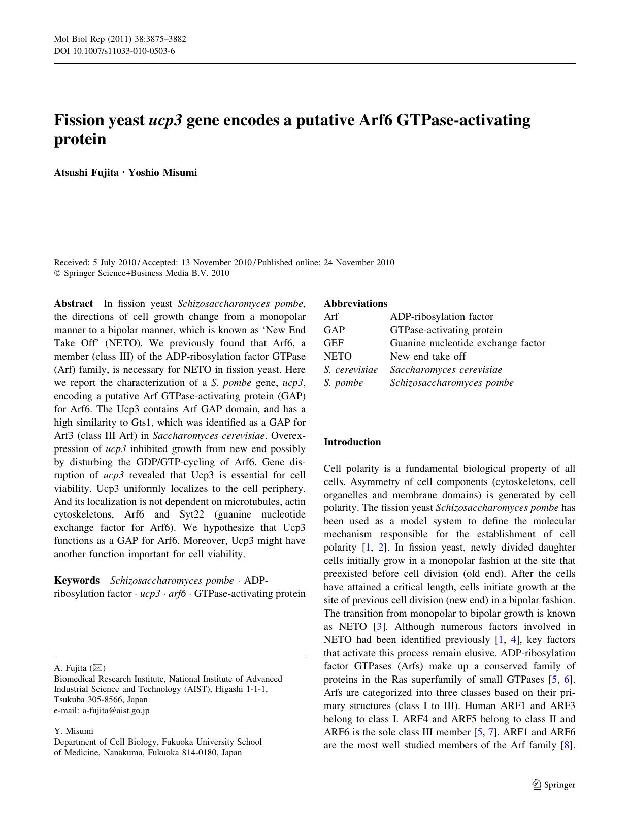 3875-3882 by Unknown