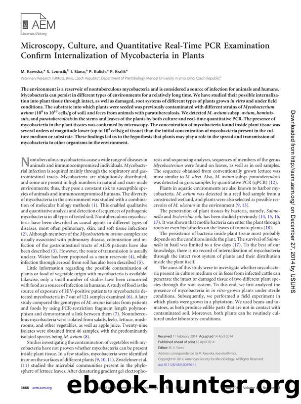 3888-3894 by Unknown