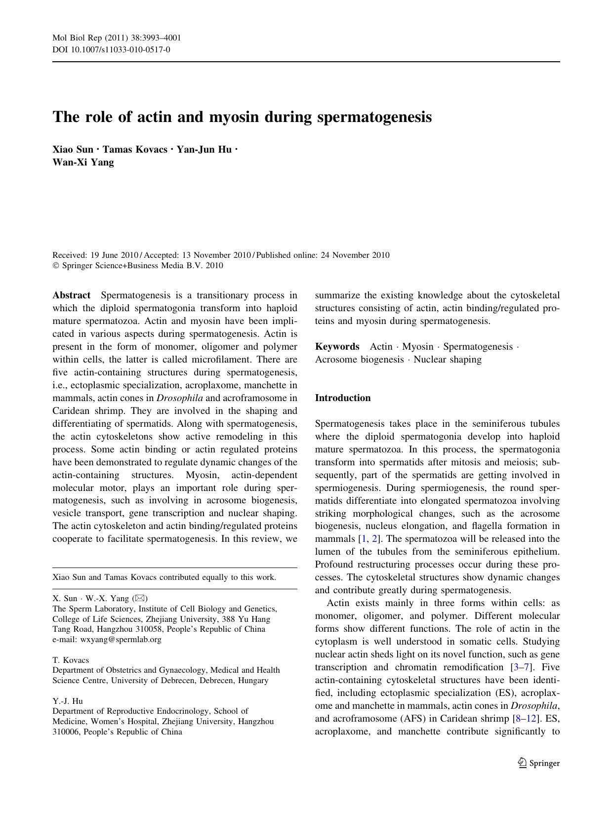 3993-4001 by Unknown