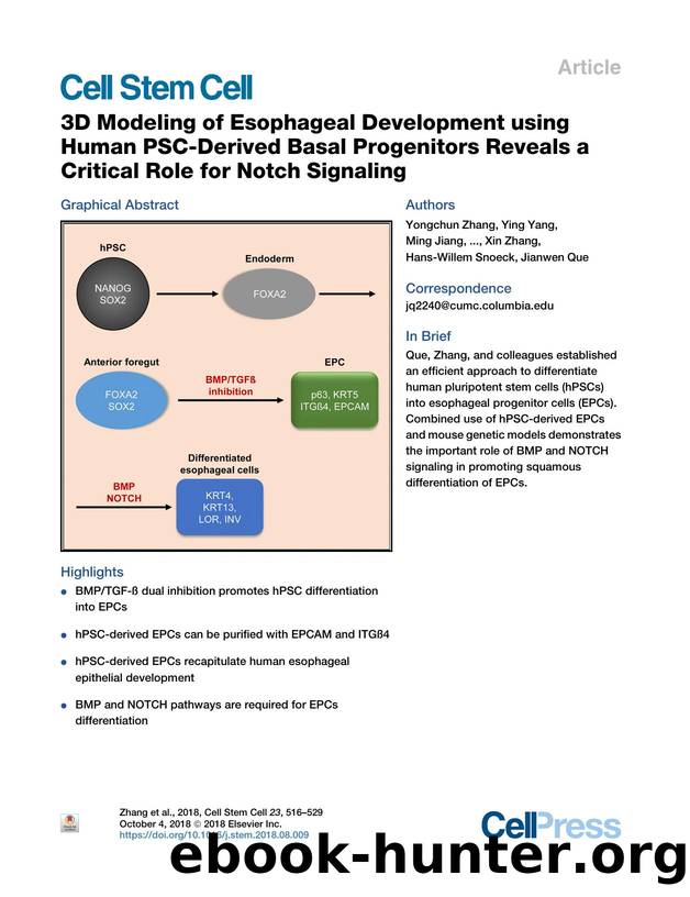 3D Modeling of Esophageal Development using Human PSC-Derived Basal Progenitors Reveals a Critical Role for Notch Signaling by unknow