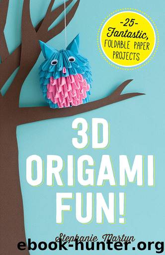 3D Origami Fun!: 25 Fantastic, Foldable Paper Projects by Stephanie Martyn