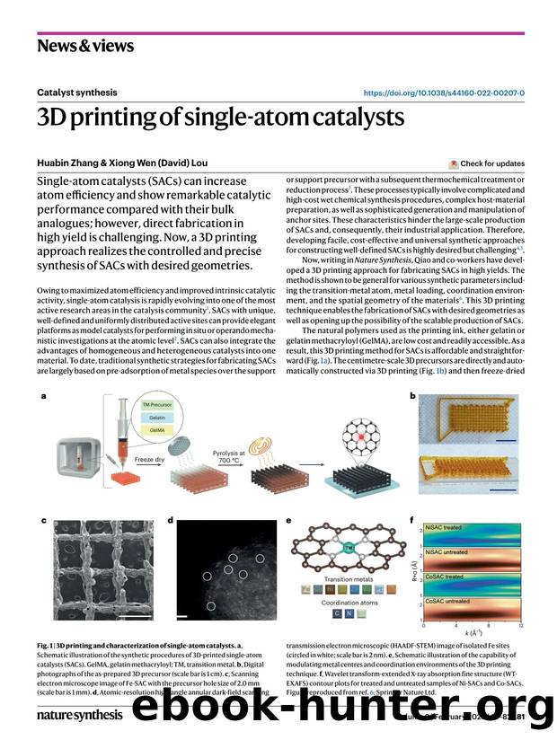 3D printing of single-atom catalysts by Huabin Zhang & Xiong Wen (David) Lou