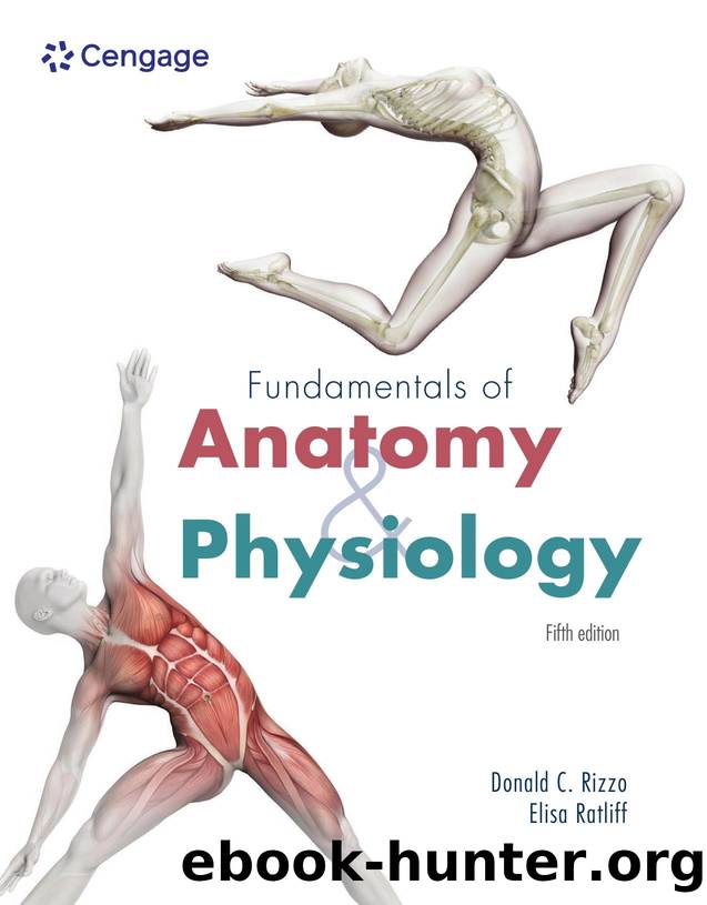 3P-EBK: FUNDAMENTALS OF ANATOMY & PHYSIOLOGY by Donald C Rizzo;Elisa Ratliff;