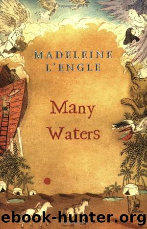 4 - Many Waters by Madeleine L'Engle