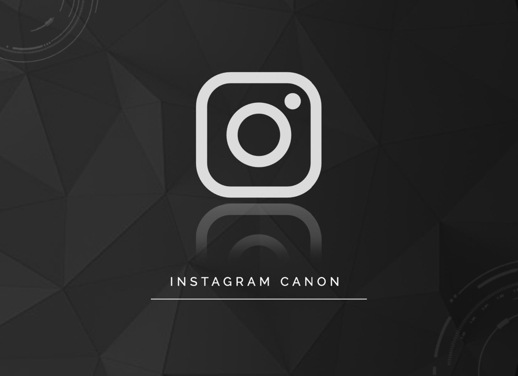 4.2 The Instagram Canon.pdf by Unknown