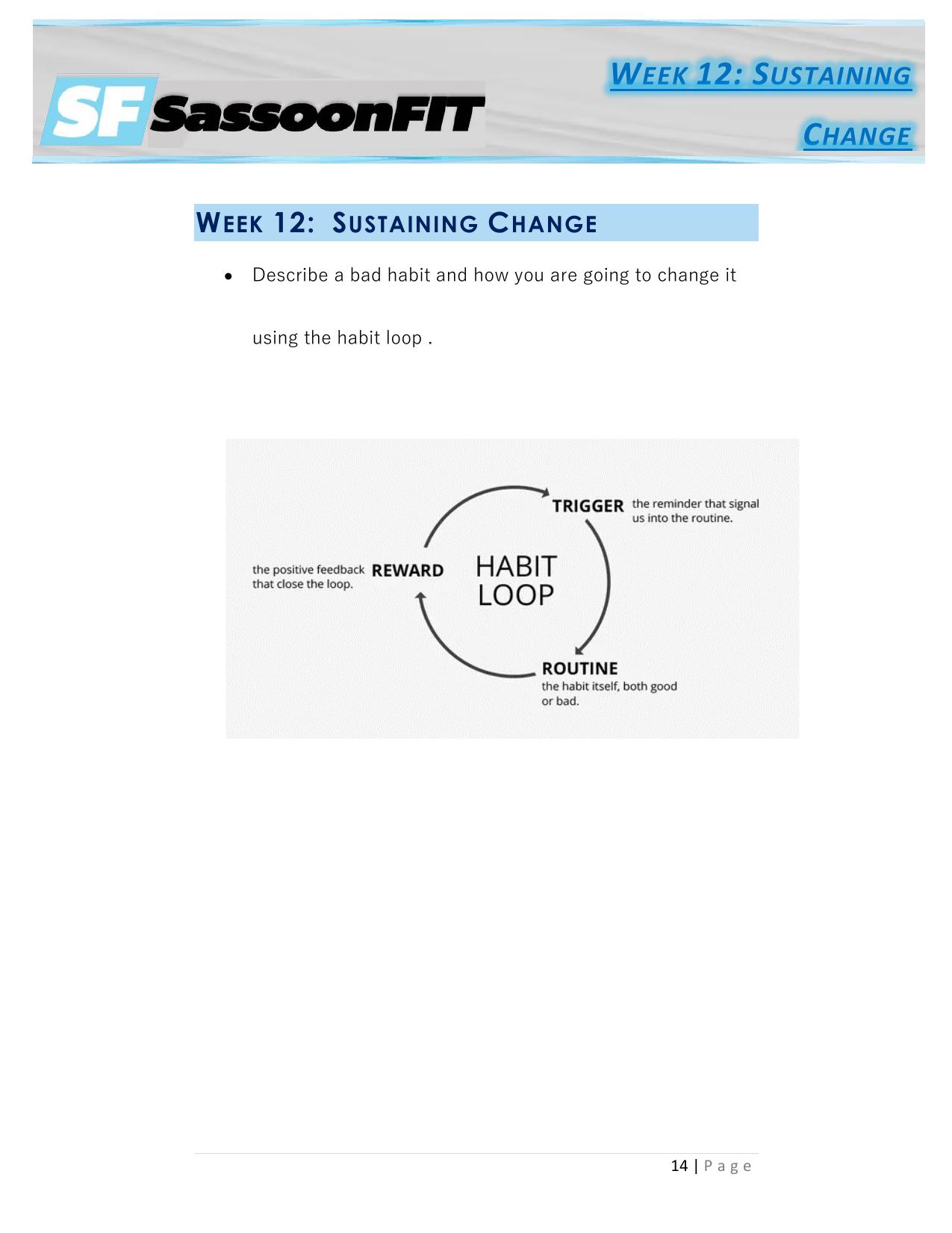4.3 Breaking Bad Habits Assignment.pdf by Gamliel Sassoon