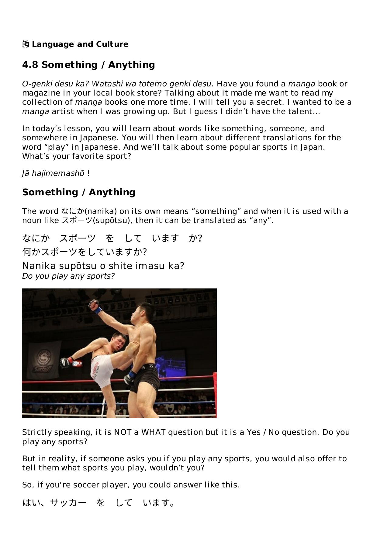 4.8 Something Anything Lesson | Rocket Japanese by Unknown