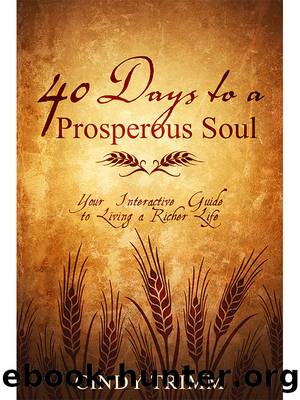 40 Days to a Prosperous Soul by Cindy Trimm