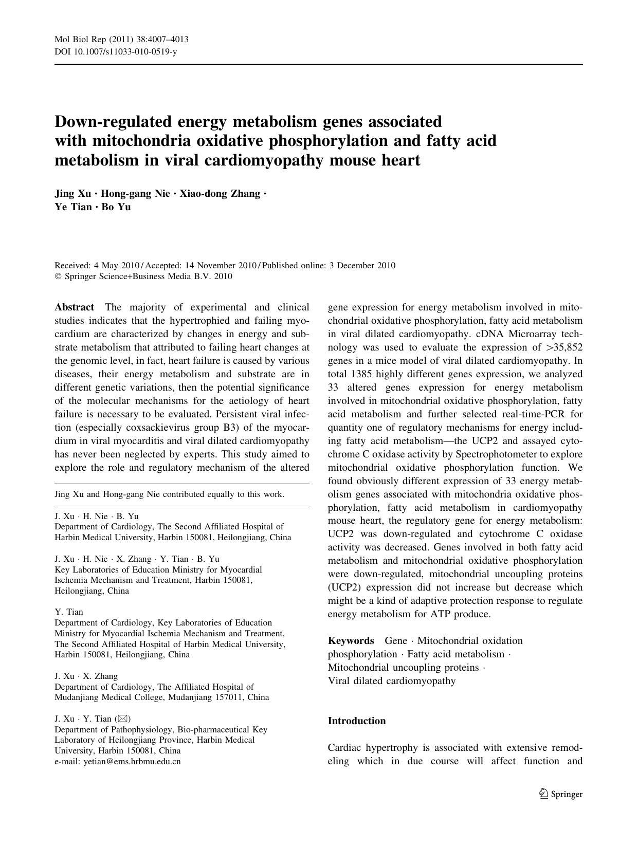 4007-4013 by Unknown