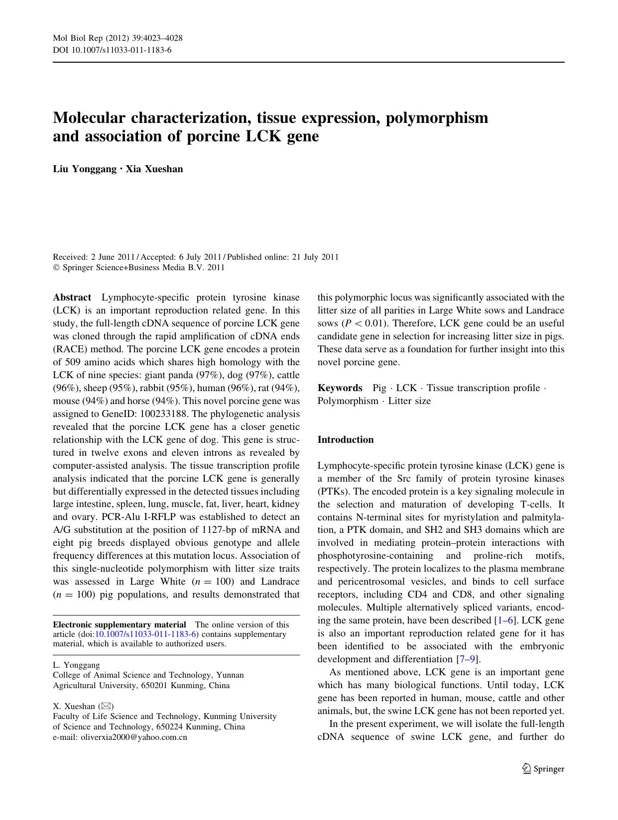 4023-4028 by Unknown