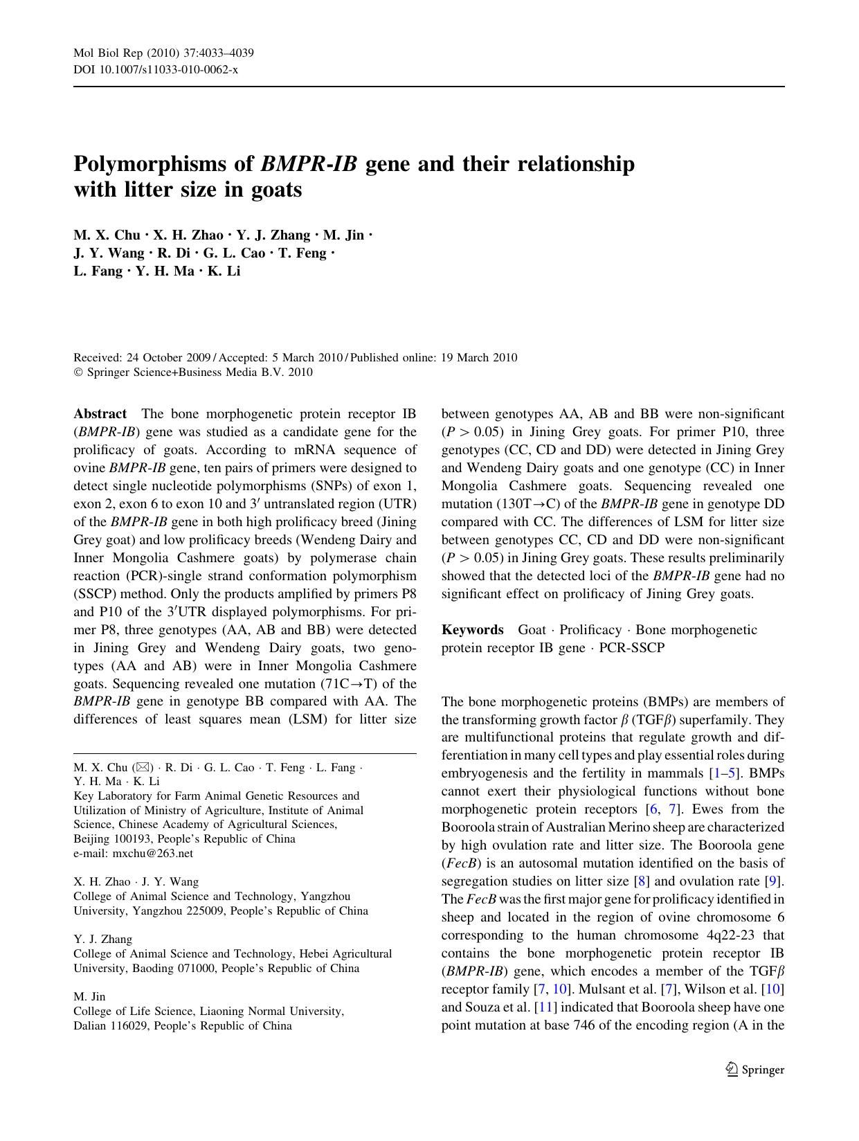 4033-4039 by Unknown