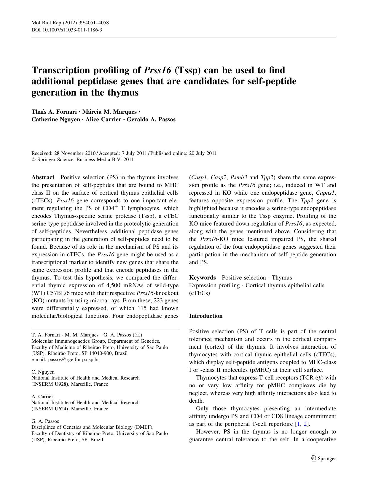 4051-4058 by Unknown