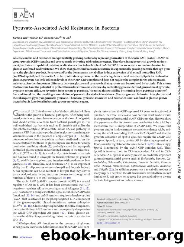 4108-4113 by Unknown