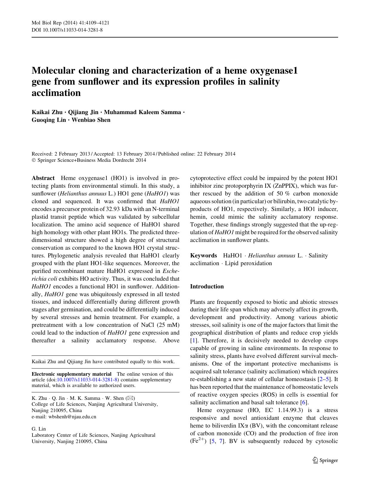 4109-4121 by Unknown