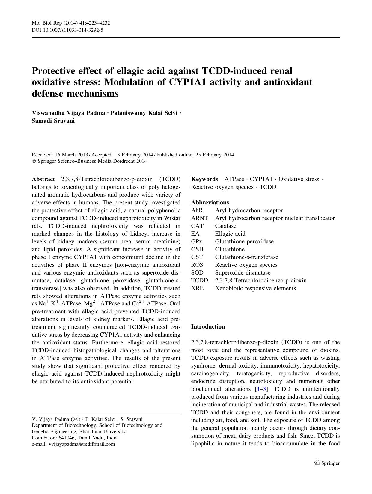 4223-4232 by Unknown