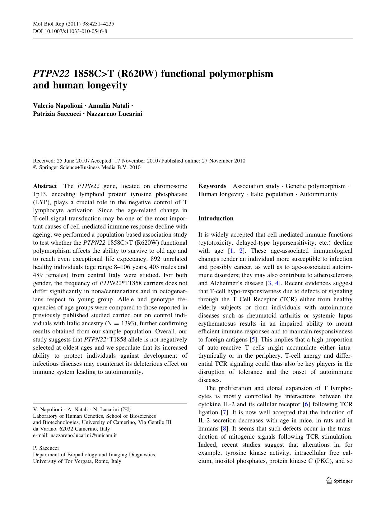 4231-4235 by Unknown