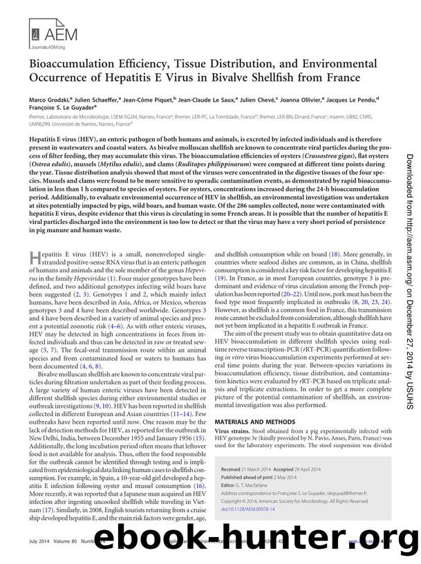 4269-4276 by Unknown